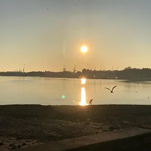Studio Les Pieds Dans L'eau - Plage à Proximité Appartement